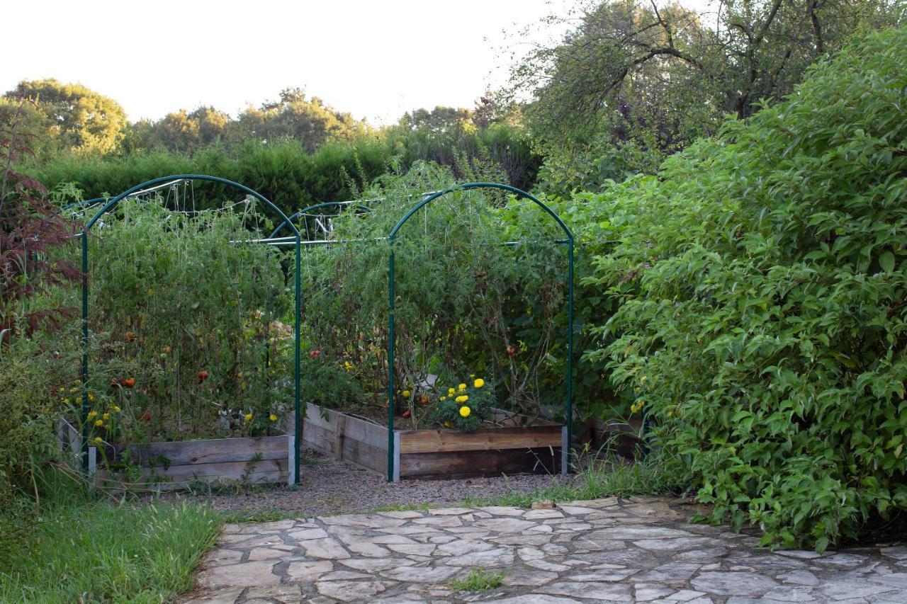 Casa Lavanda Boutique Hotel Ağva 外观 照片