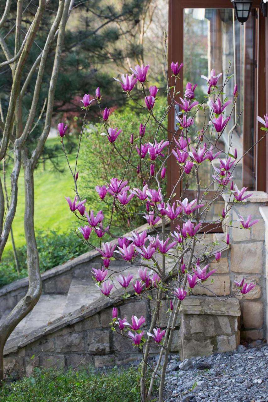 Casa Lavanda Boutique Hotel Ağva 外观 照片